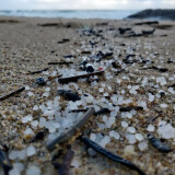 Plastikpellets am Strand