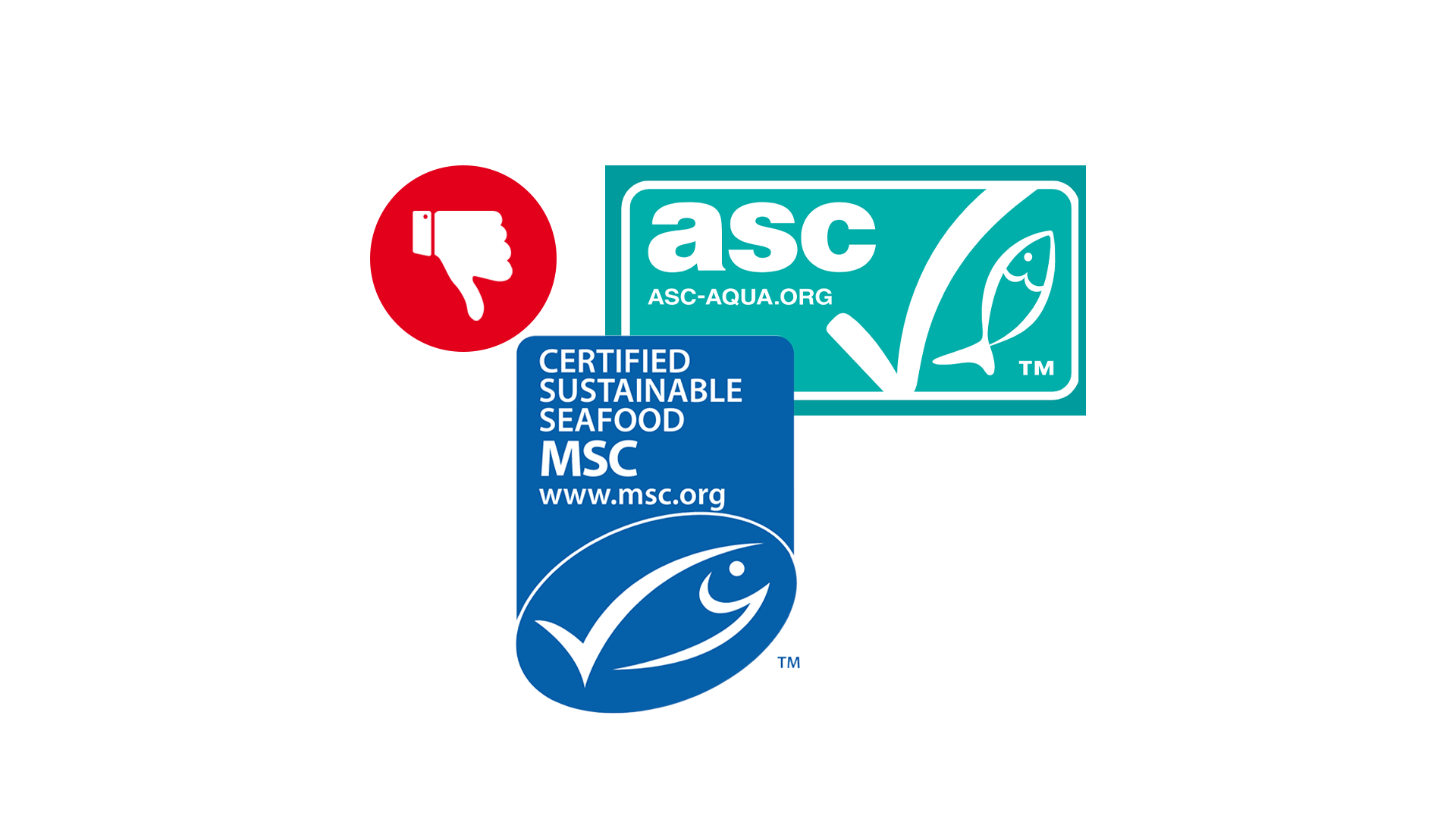 2025-02-04_guetesiegel_asc-seafood_16x9_am-1739191822.png