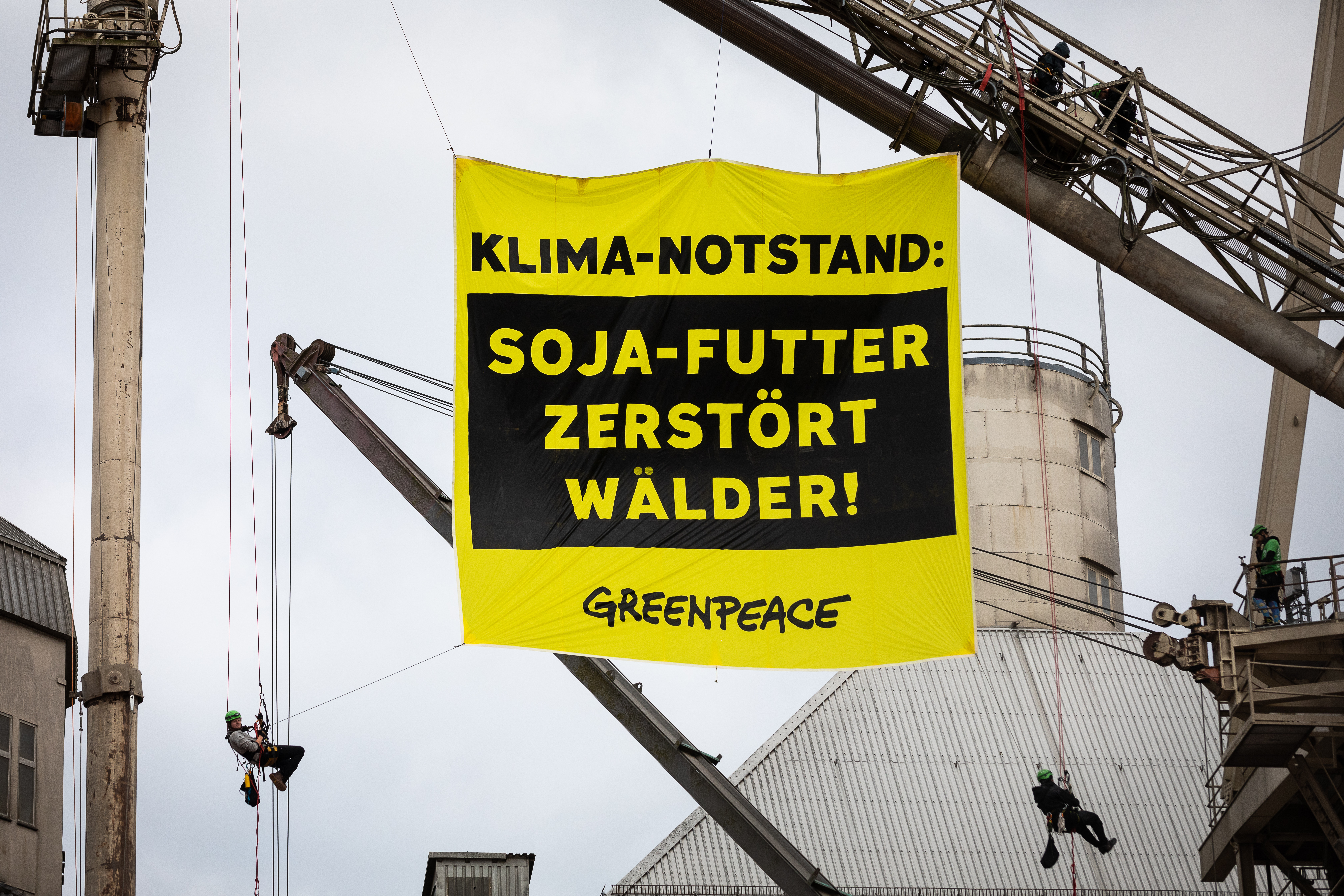 Ein Plakat von Greenpeace Aktivist:innen. Darauf steht 