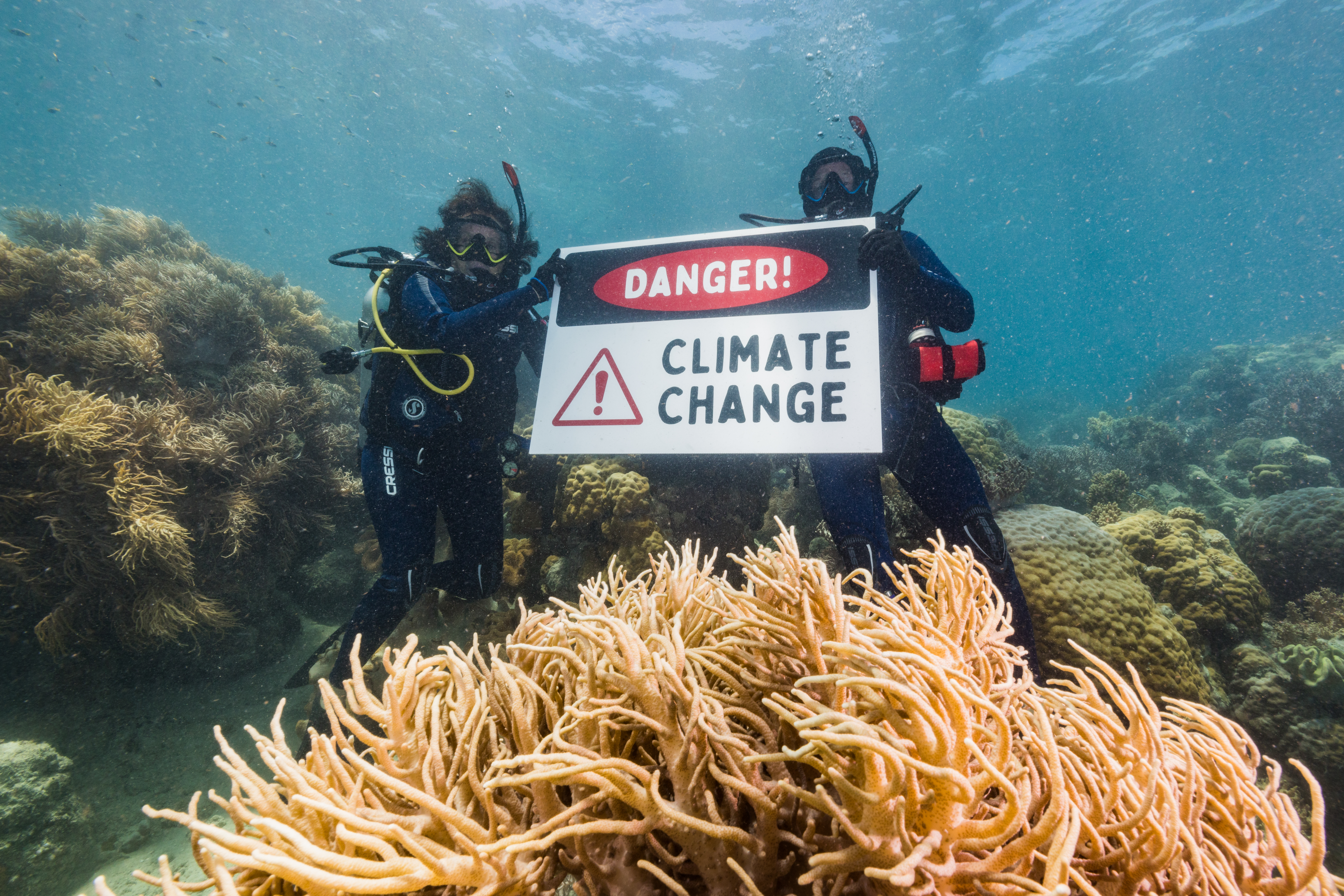 Greenpeace Aktivist:innen im Taucheranzug im Great Barrier Reef. Sie halten ein Schild mit 