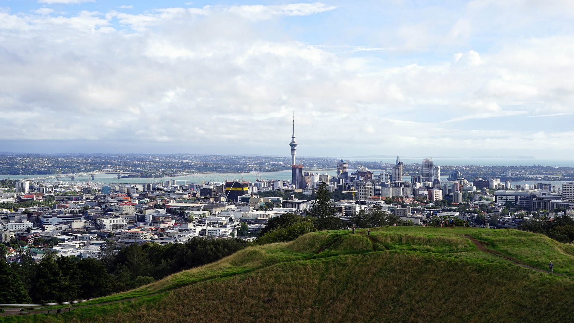 Es ist die Skyline der Stadt Auckland zu sehen.