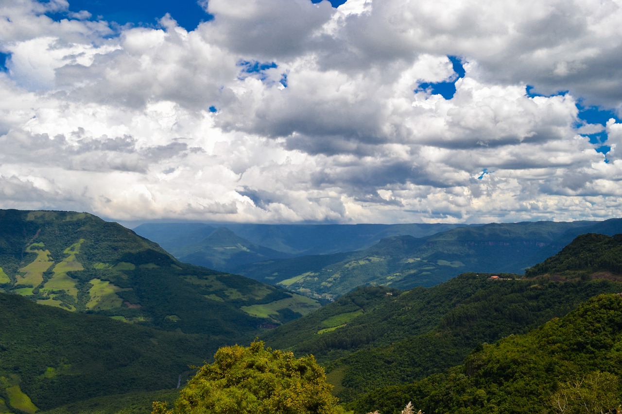 Die Wälder Brasiliens im Panorama Ausblick mit blauem Himmel und großen Wolken.