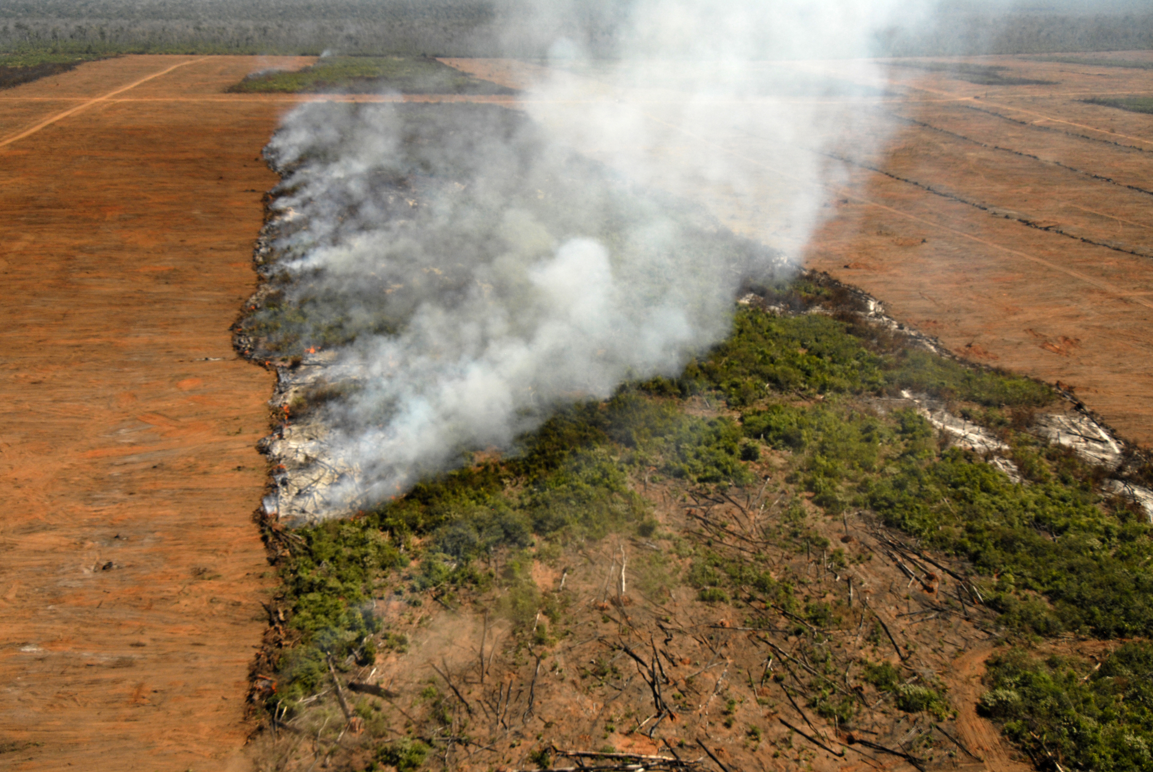 Ein schmaler Streifen Regenwald brennt zwischen bereits gerodeten Flächen