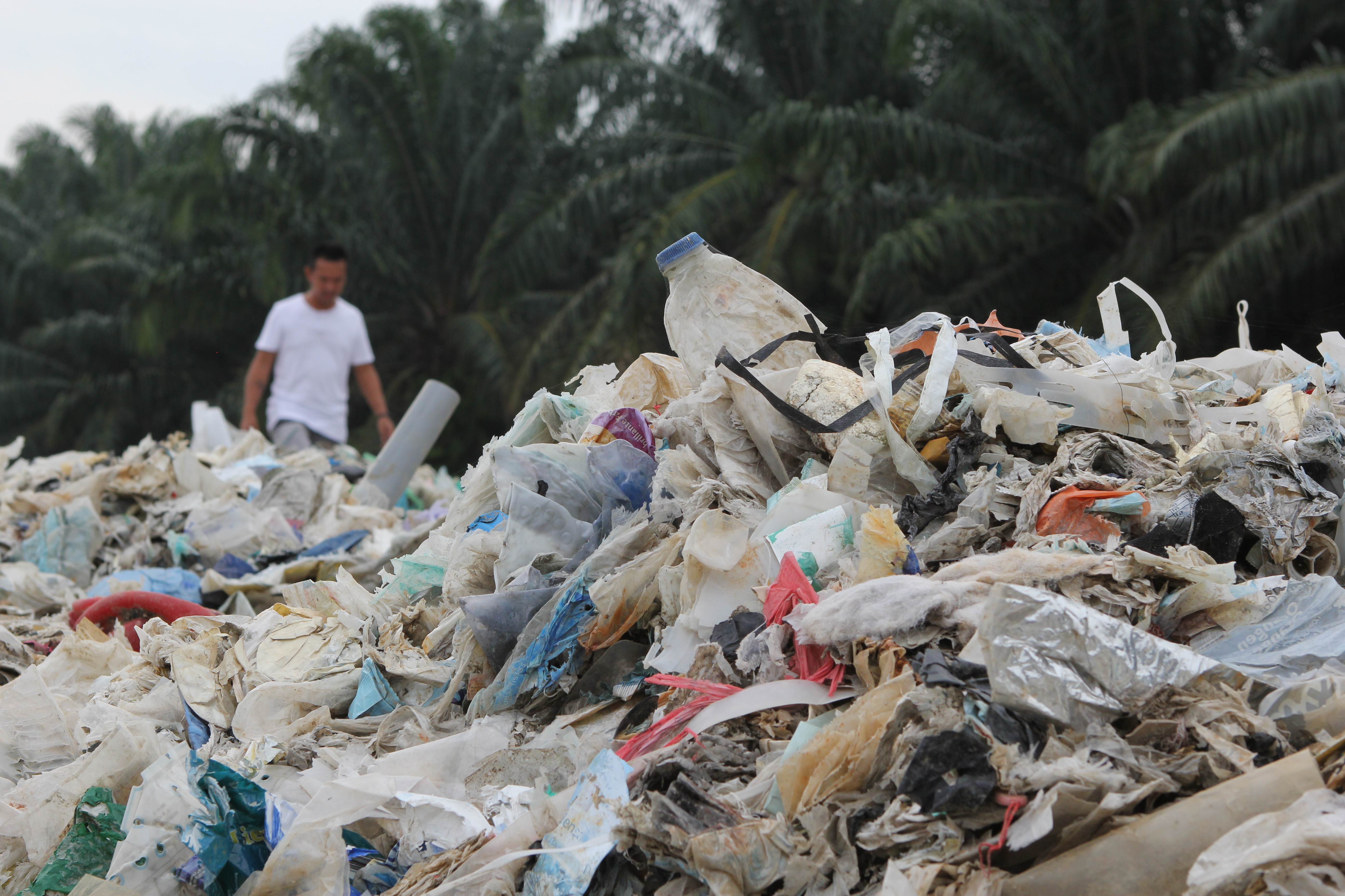 Müllberg vor Palmen in Malaysia