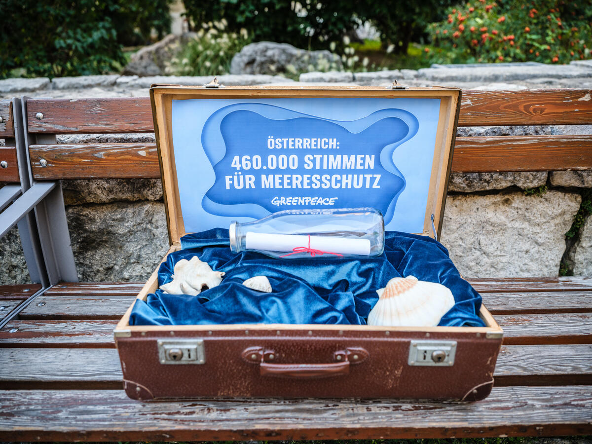 Koffer mit Flaschenpost (Symbol für 460.000 Stimmen für den Meeresschutz)