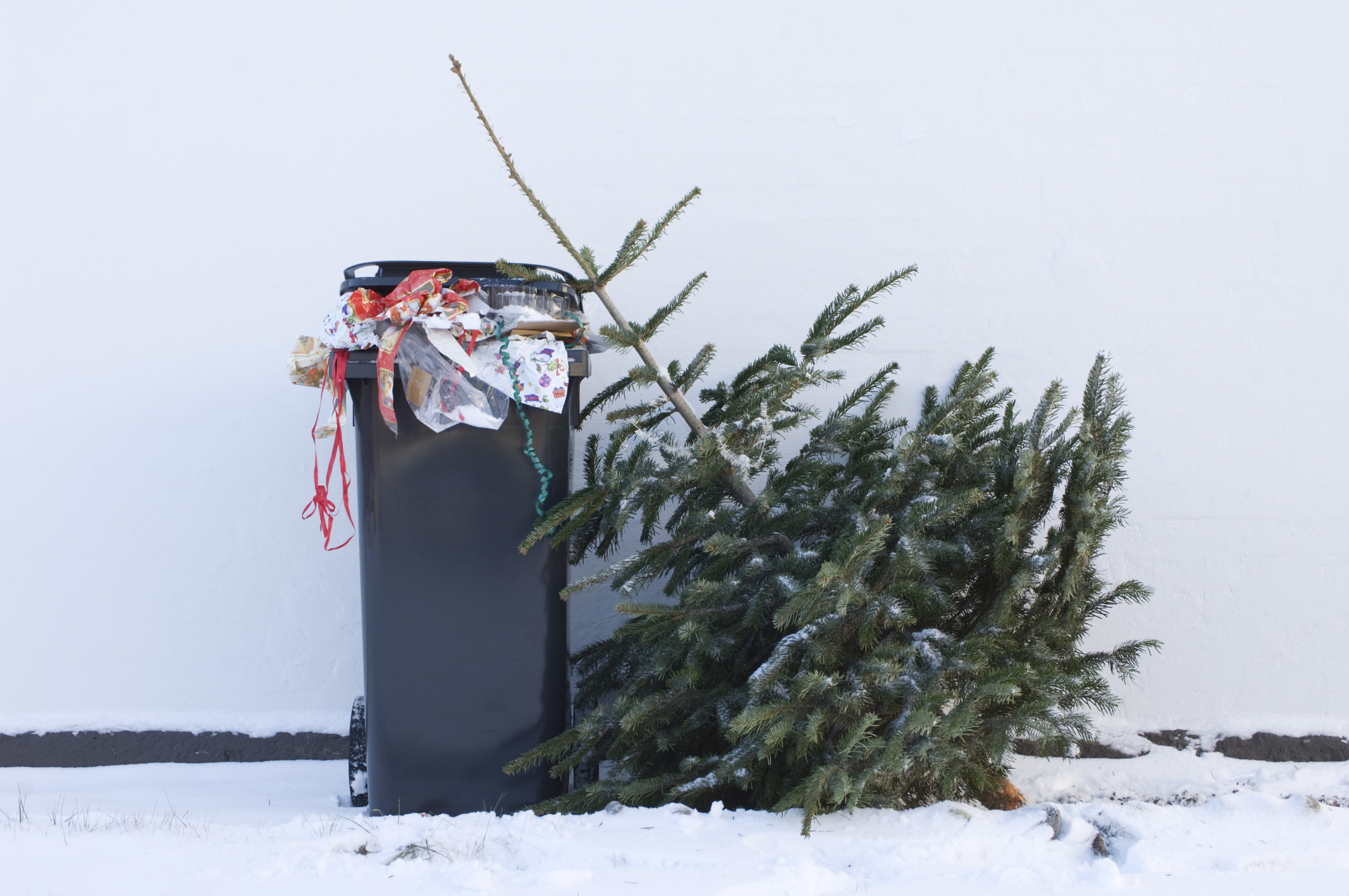Voller Mistkübel mit Müll von Weihnachten, daneben ein weggeworfener Christbaum
