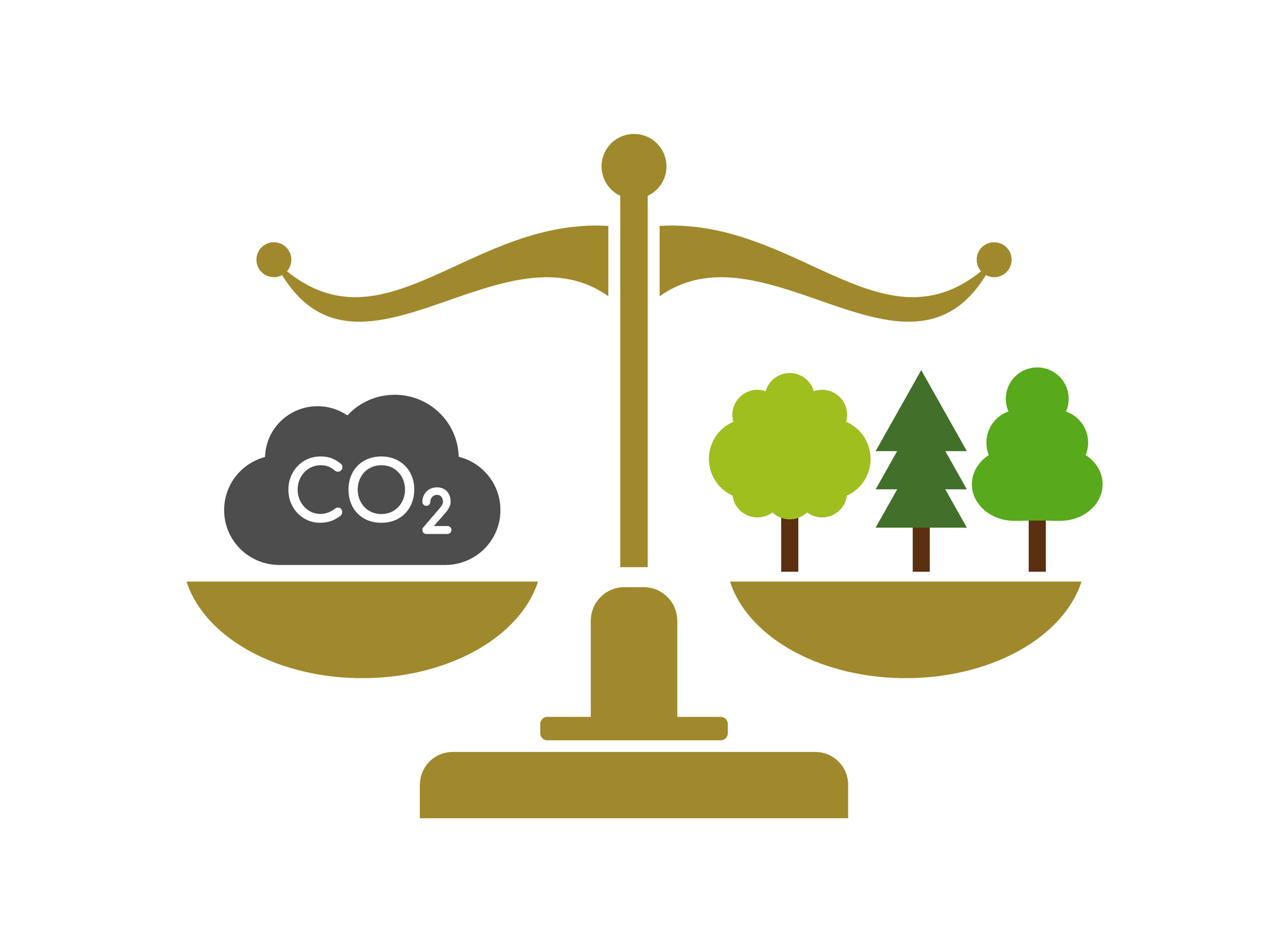 Wage mit CO2 und Bäumen